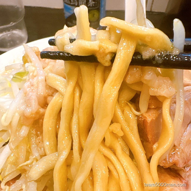 箸で持ち上げたストレートの太麺