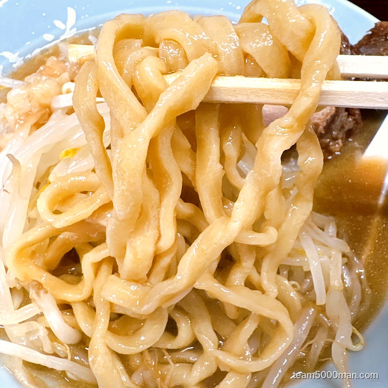 箸で持ち上げた俺の生きる道のもちもちした極太麺