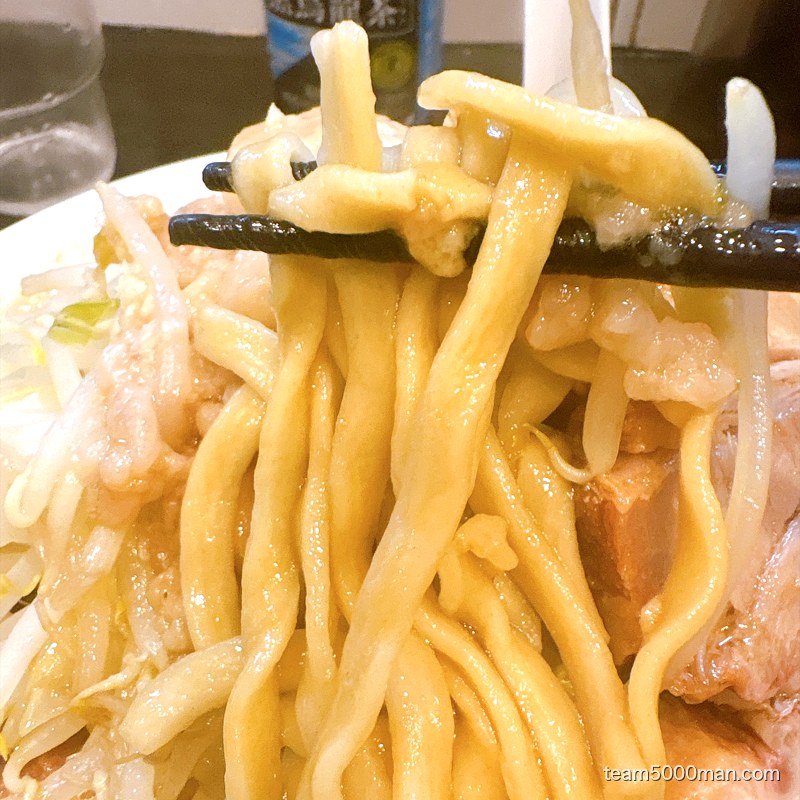 箸で持ち上げたストレートの太麺