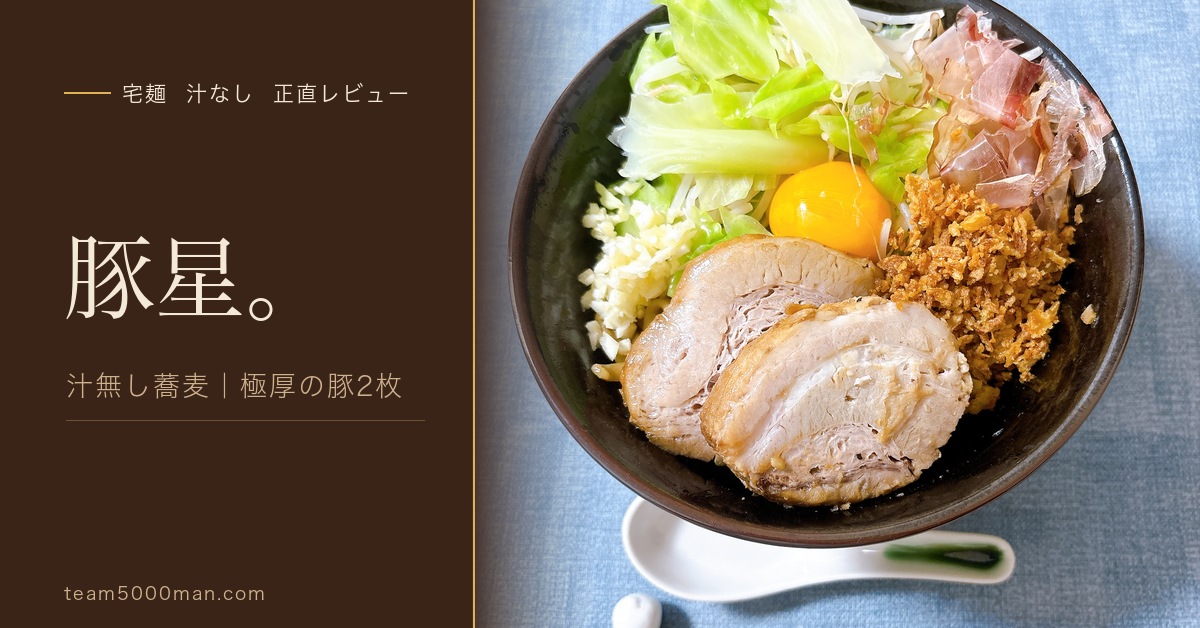 豚星。汁無し蕎麦 宅麺お取り寄せ実食レビュー 極厚の豚2枚と卵黄・フライドオニオンをのせた完成丼